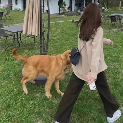 难得孖情人